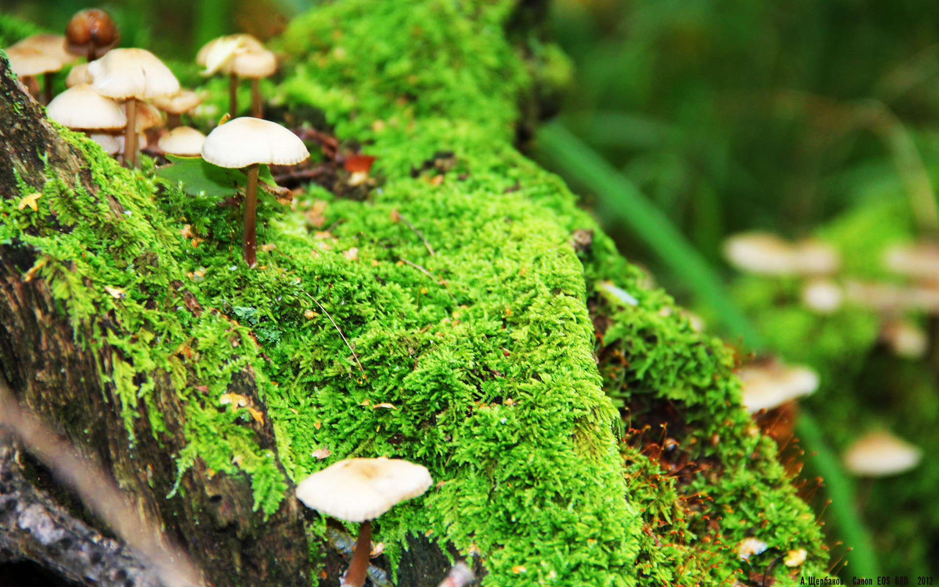 IM体育下载-铁卫破局，红魔折戟—德里赫特用实力证明自己，瑞士粉碎摩洛哥黑马神话